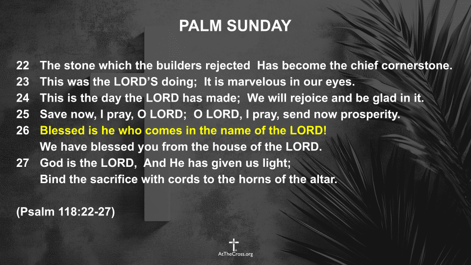 Palm Sunday 2026