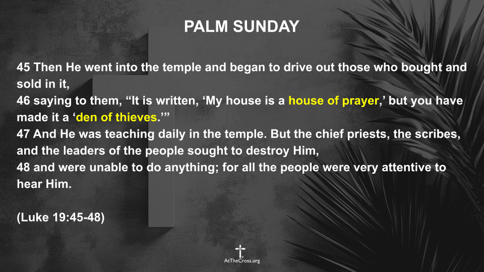 Palm Sunday 2026