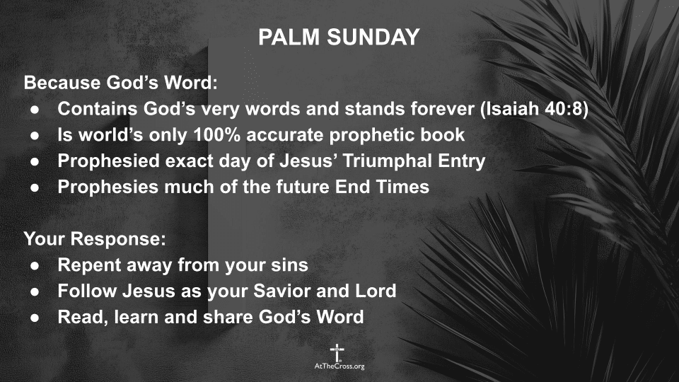 Palm Sunday 2026