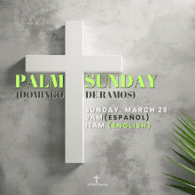 Palm Sunday 2026
