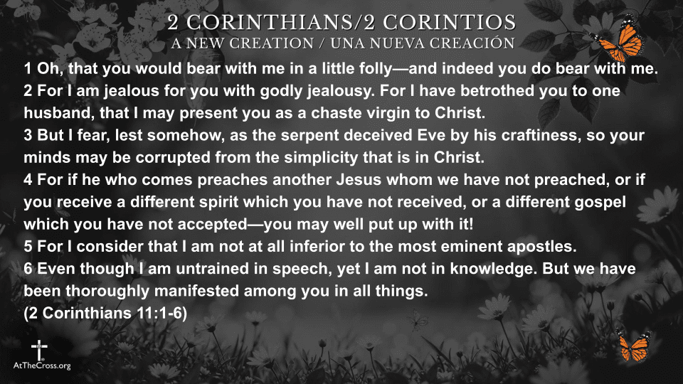 Simplicity in Christ