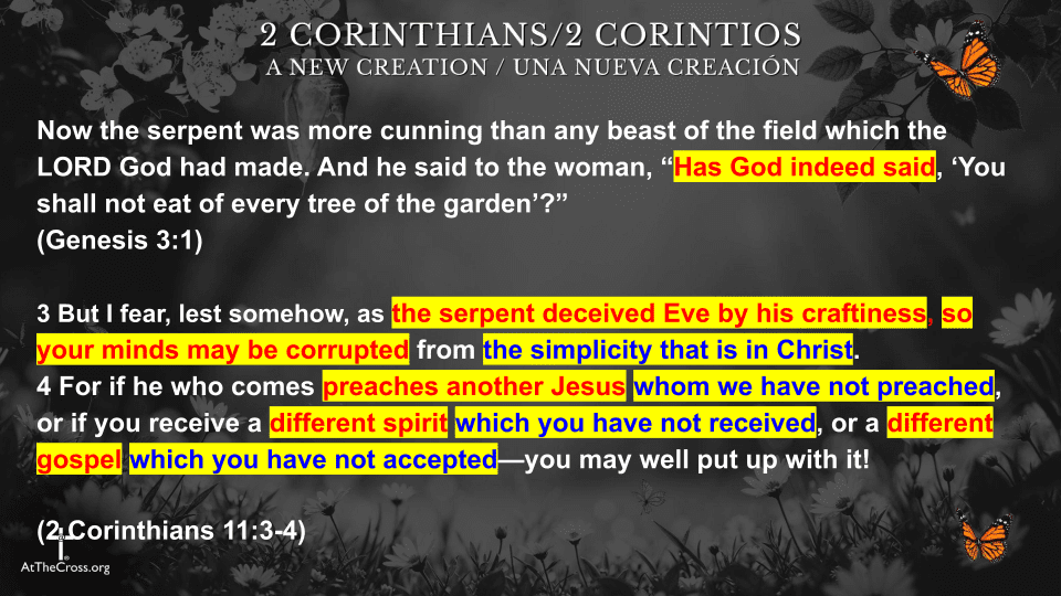 Simplicity in Christ