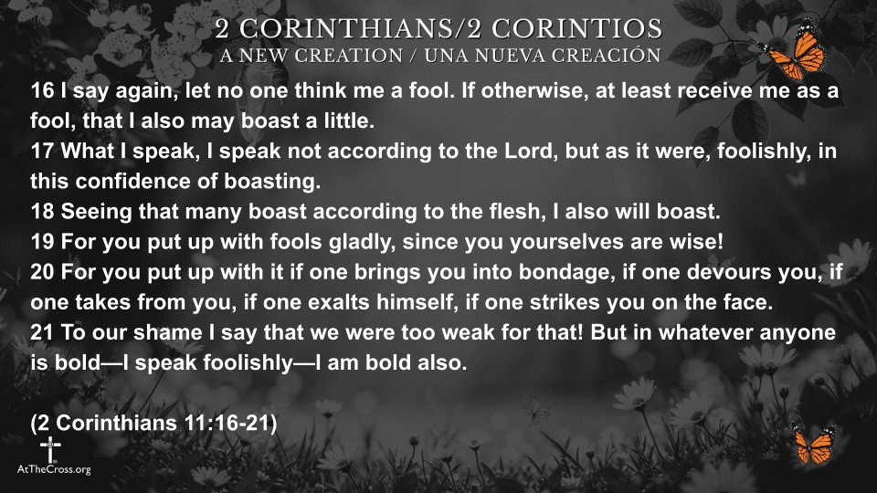 Simplicity in Christ