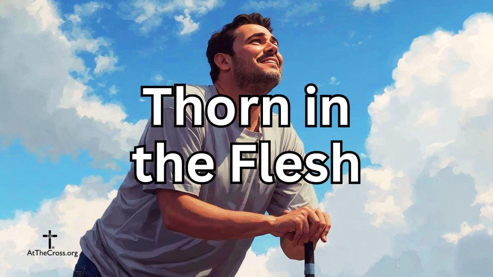 Thorn in the Flesh