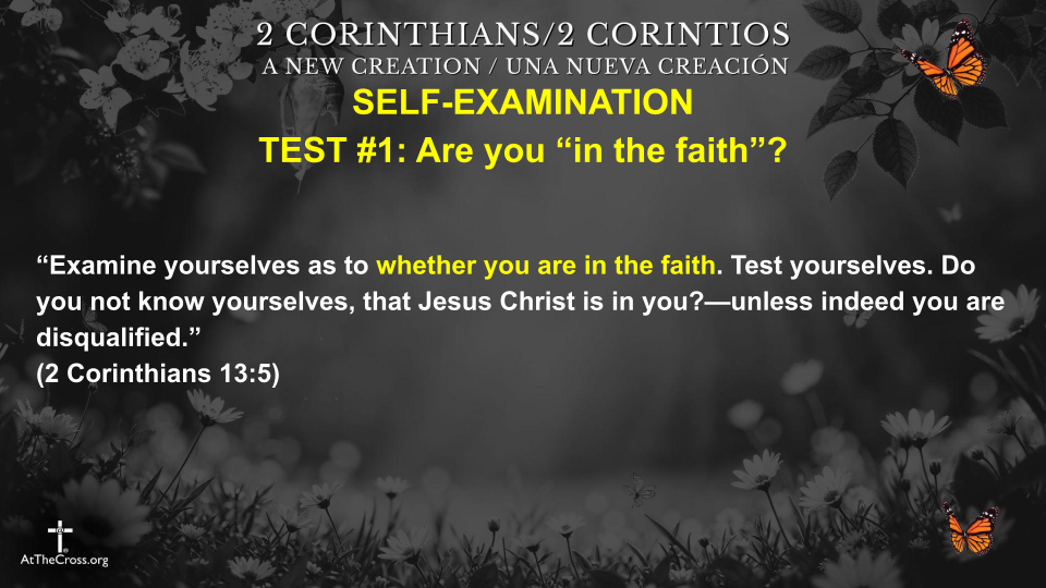 Self Examination