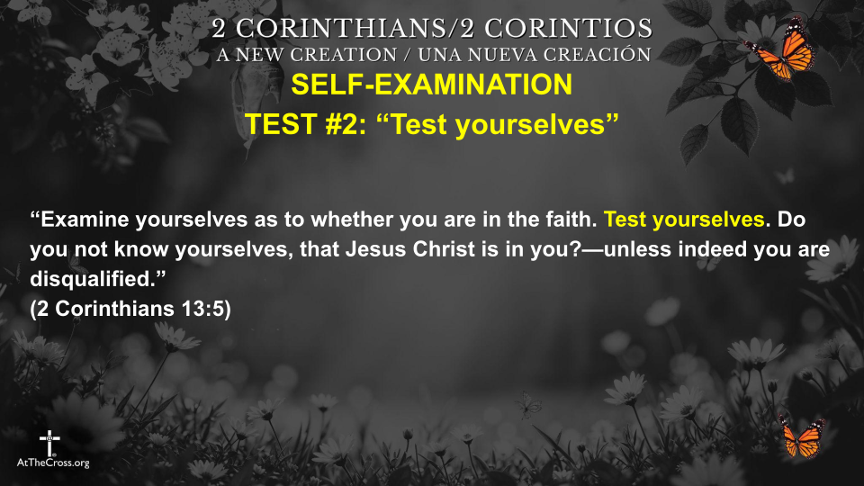 Self Examination