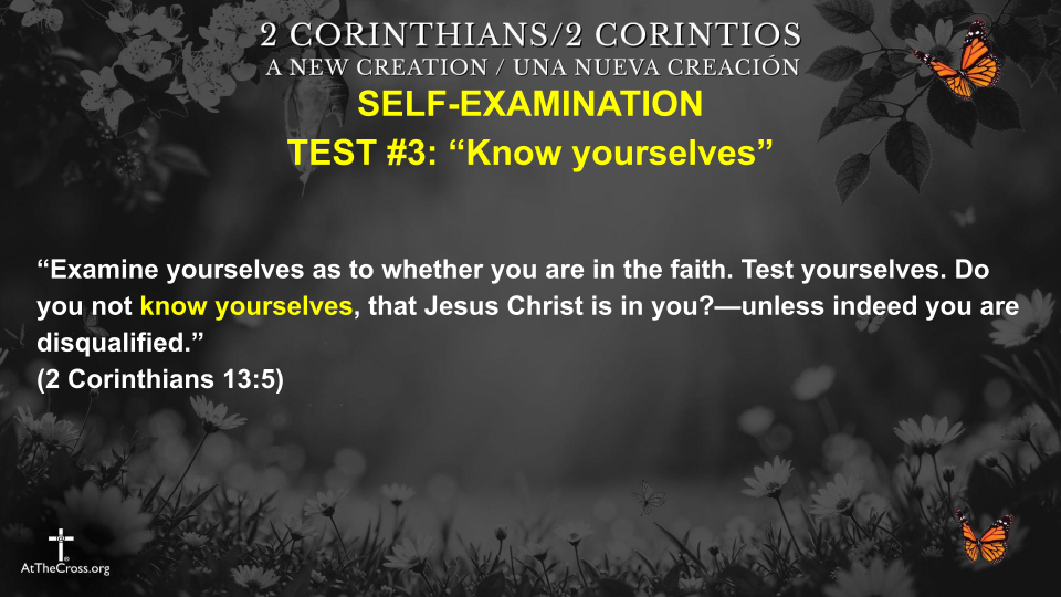 Self Examination