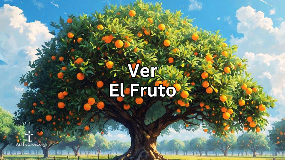 Ver El Fruto