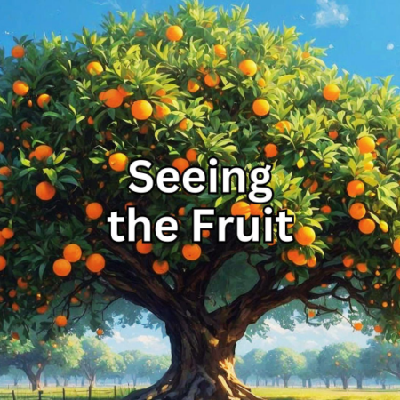 Seeing The Fruit