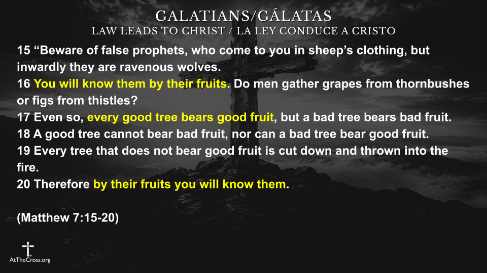 Seeing The Fruit