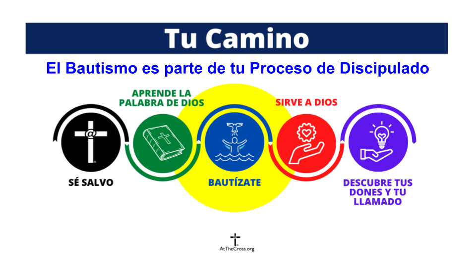 Domingo de Bautizos 2026