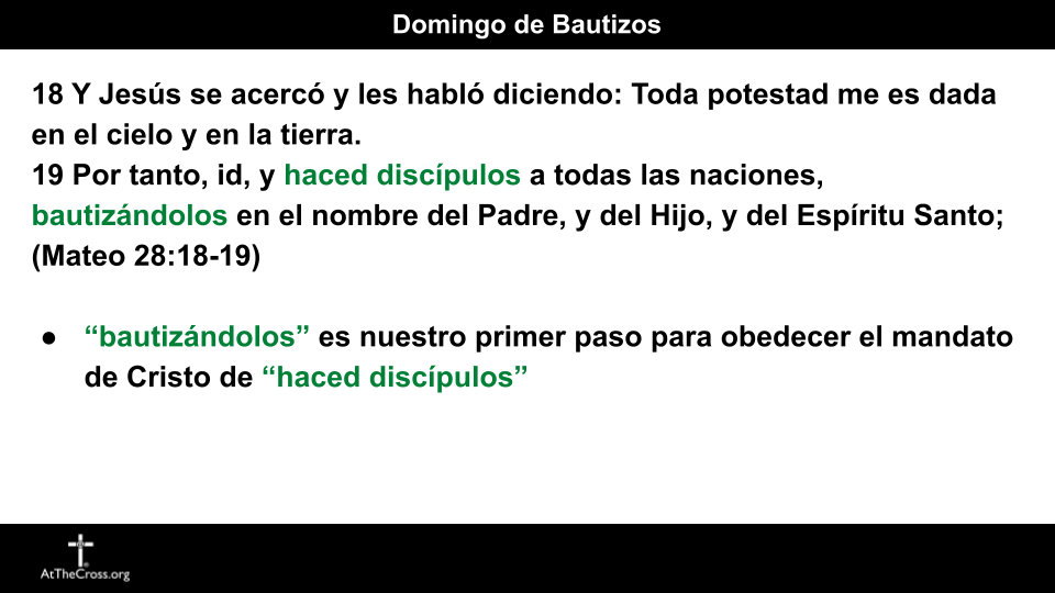 Domingo de Bautizos 2026