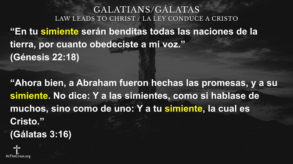 La Ley Conduce a Cristo