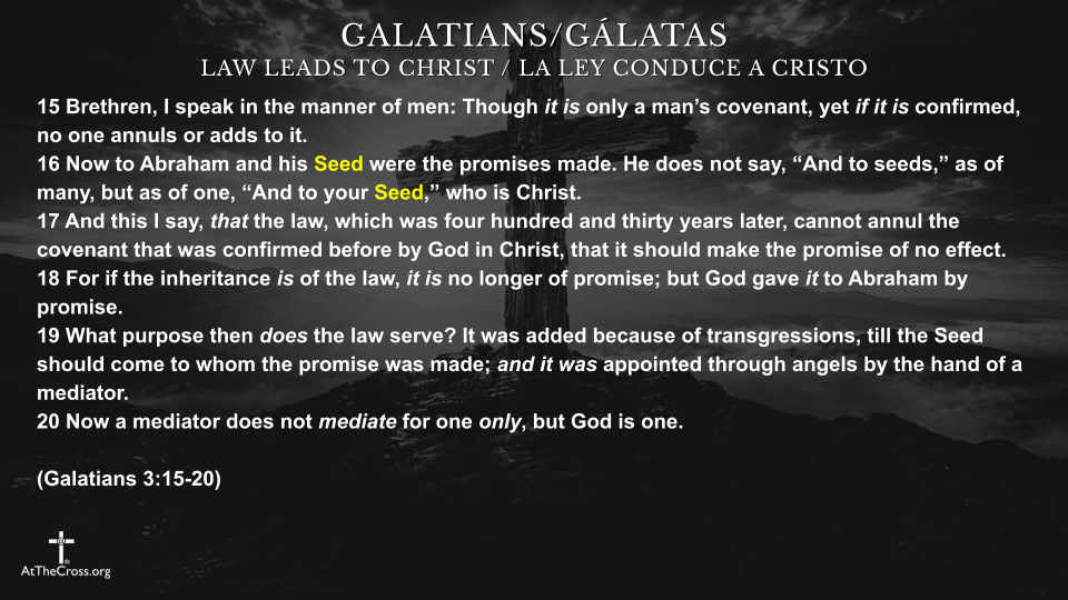 Law Leads to Christ