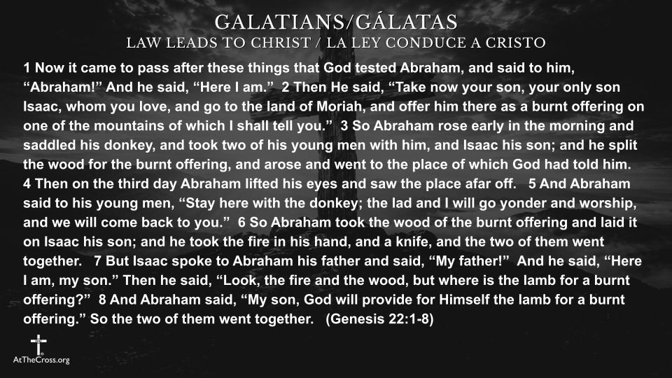 Law Leads to Christ