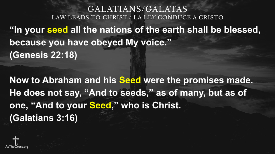 Law Leads to Christ