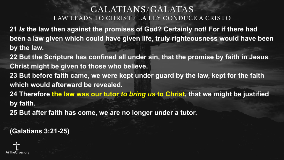 Law Leads to Christ