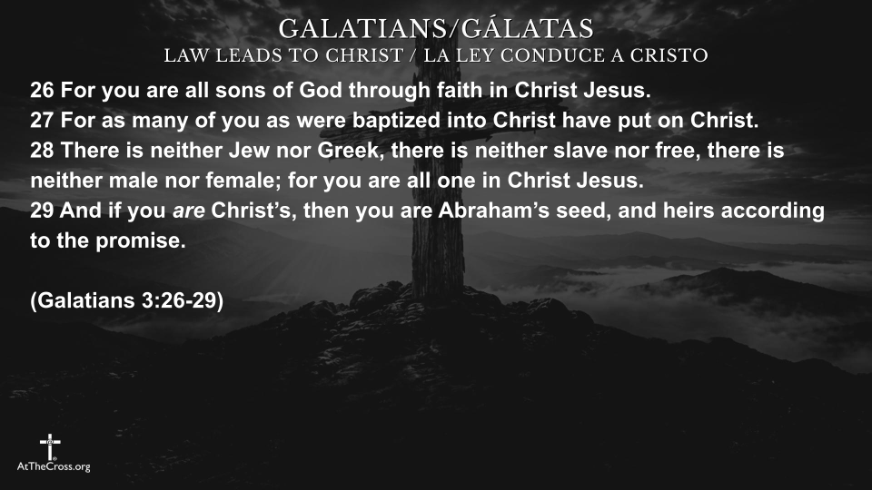 Law Leads to Christ
