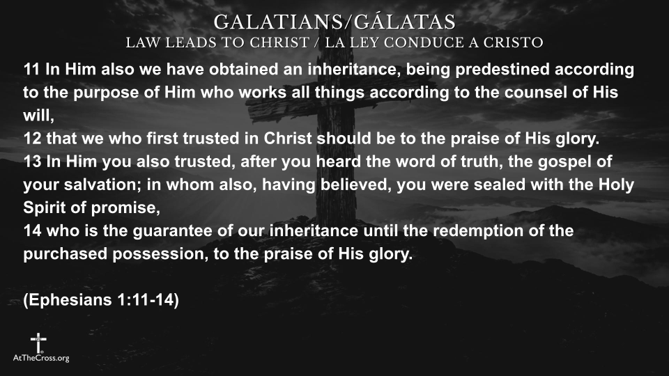 Law Leads to Christ