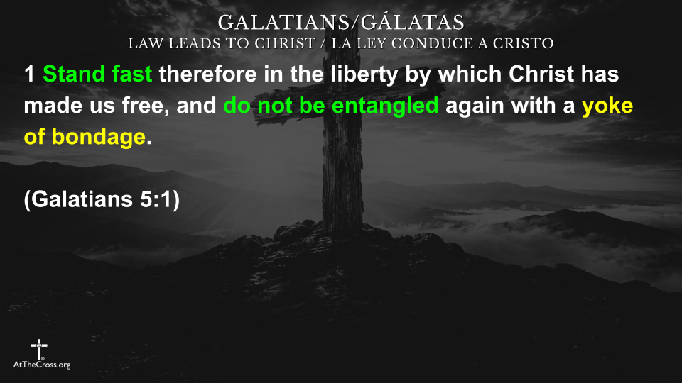 Freedom in Christ