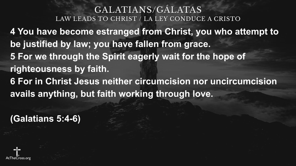 Freedom in Christ