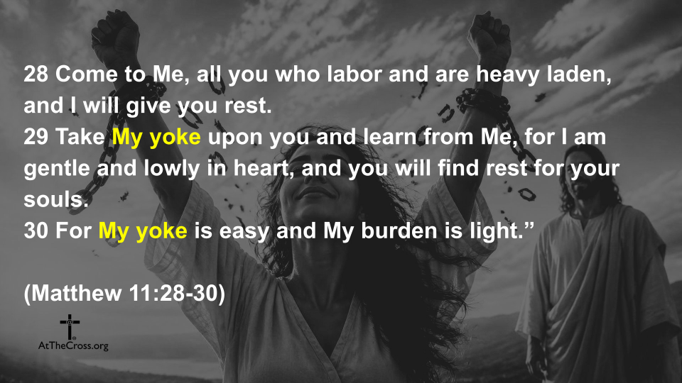 Freedom in Christ