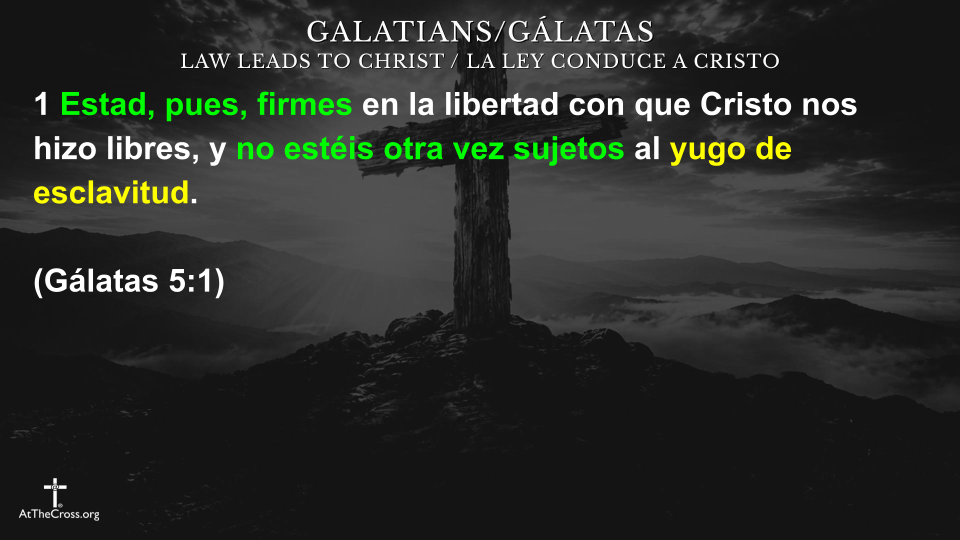 Libertad en Cristo