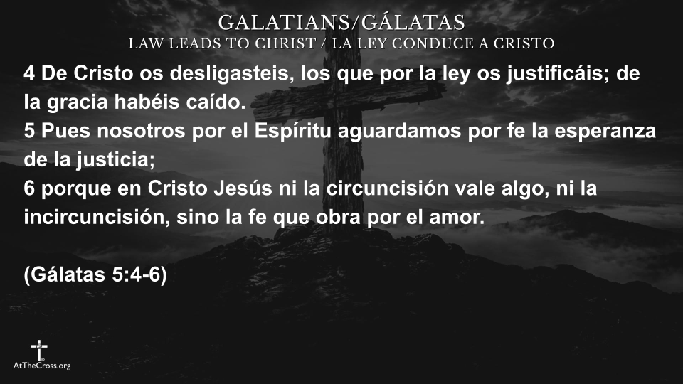 Libertad en Cristo