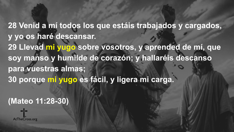 Libertad en Cristo