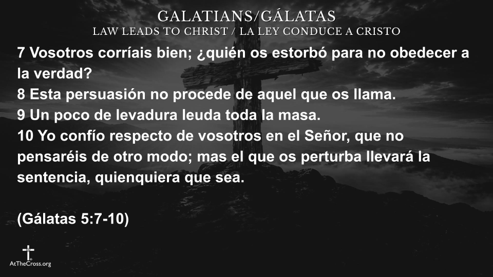 Servíos Por Amor Los Unos a Los Otros