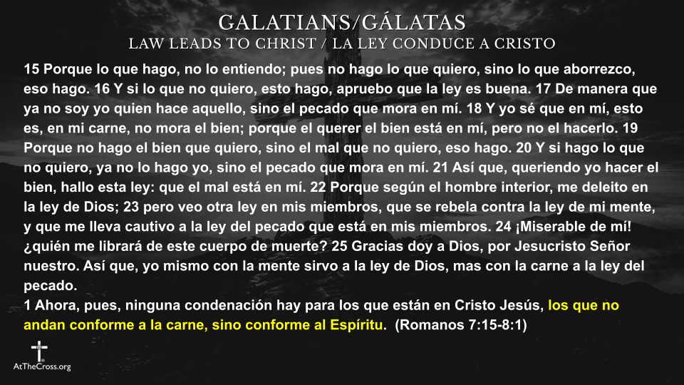 Servíos Por Amor Los Unos a Los Otros