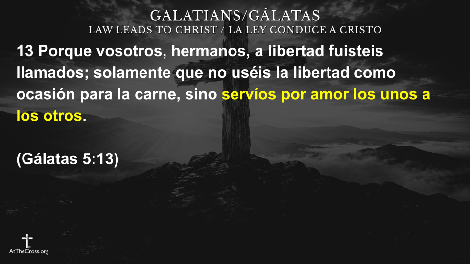 Servíos Por Amor Los Unos a Los Otros