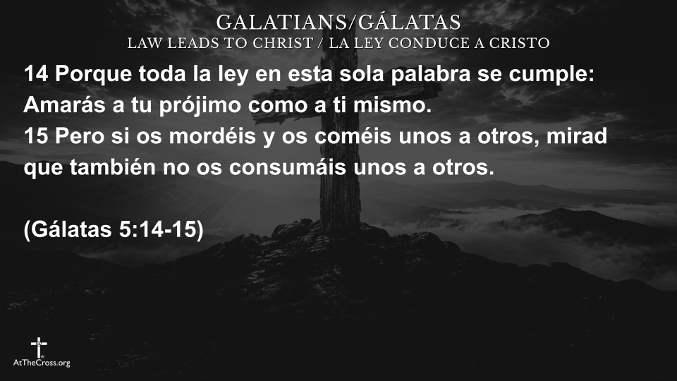 Servíos Por Amor Los Unos a Los Otros