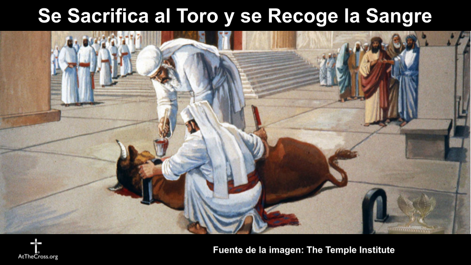 Día de la Expiación