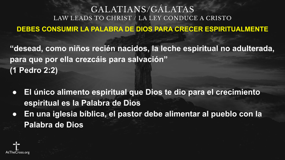Lo Que Alimentas Crece