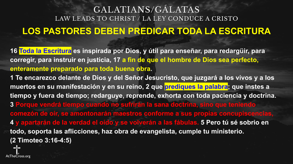 Lo Que Alimentas Crece