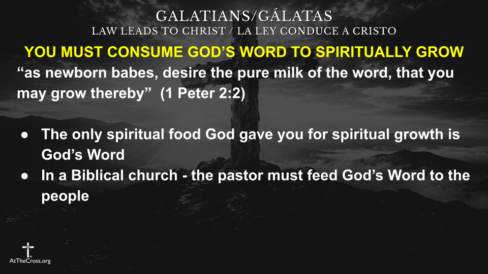 Whatever You Feed Grows