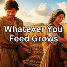 Whatever You Feed Grows