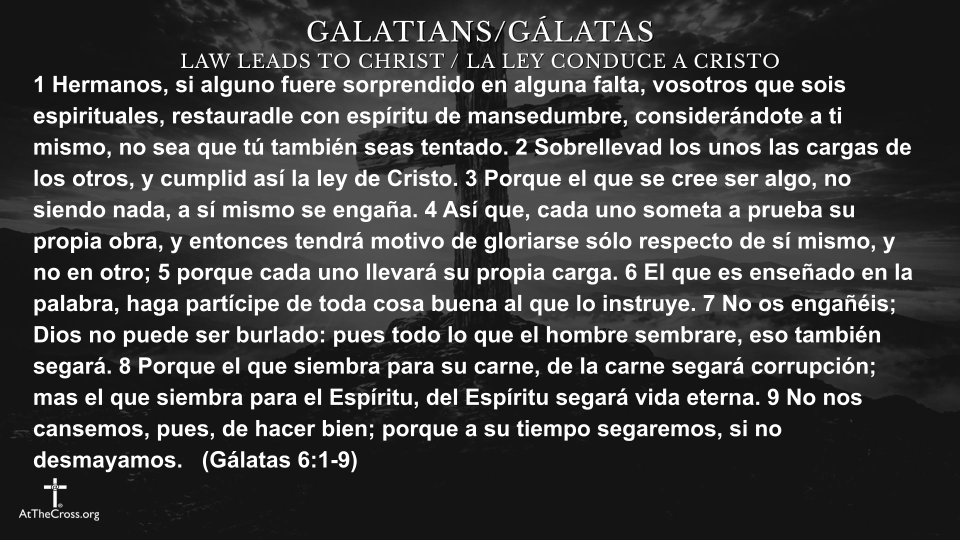 Sirviendo a Dios en Su Iglesia