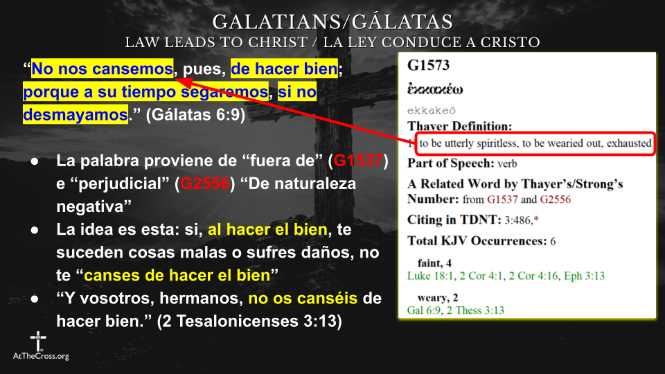 Sirviendo a Dios en Su Iglesia
